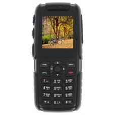 Сотовый телефон DEXP Larus X4 черный