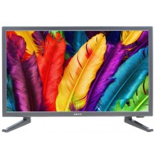 19" (48 см)  Телевизор LED DEXP H19D7100E серый